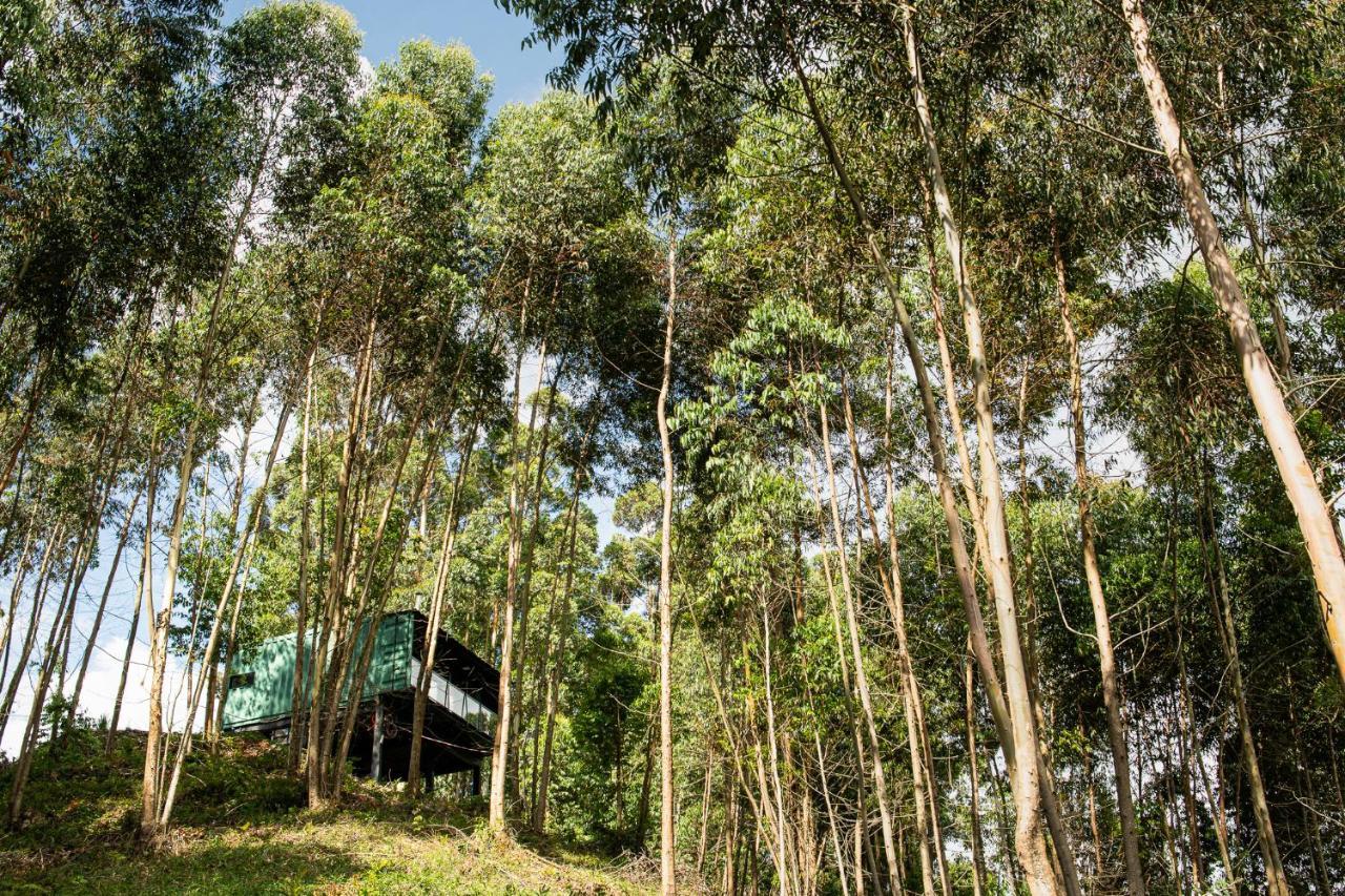 Casa Container FIGO em meio a natureza na Serra Gaúcha Flores da Cunha Exterior foto